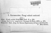 Uredo mixta image